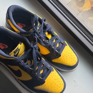 Michigan Low Dunks